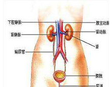 尿路感染